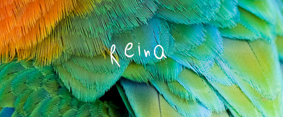 Reina