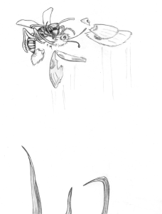 Earl&amp;Ed_MarianRunk4