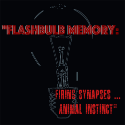 flashbulb memory.png